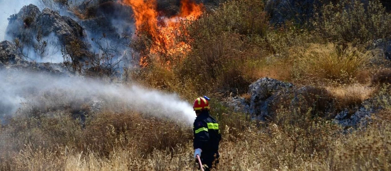 Φωτιά σε δασική έκταση στον Πολυπόταμο Καρύστου (φώτο)